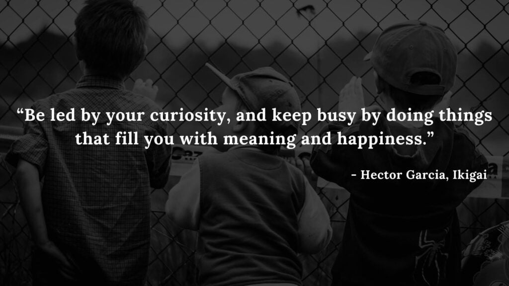 Be led by your curiosity, and keep busy by doing things that fill you with meaning and happiness. - Hector Garcia, Ikigai