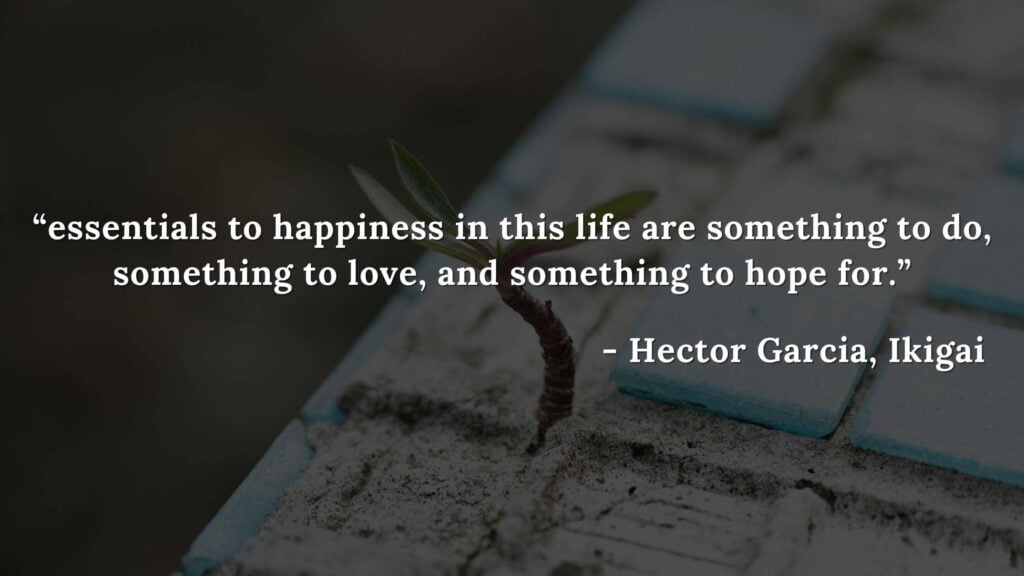 essentials to happiness in this life are something to do, something to love, and something to hope for. - Hector Garcia, Ikigai