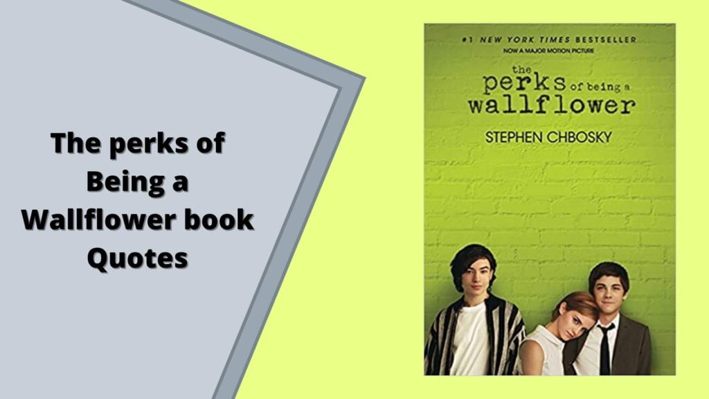 The perks of Being a Wallflower book Quotes by Stephen Chbosky