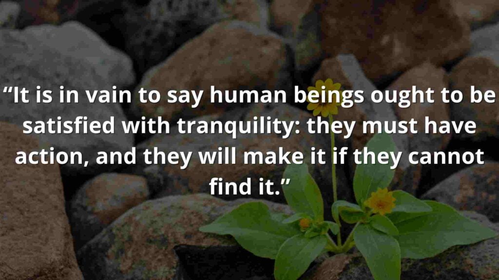 “It is in vain to say human beings ought to be satisfied with tranquility: they must have action, and they will make it if they cannot find it.”