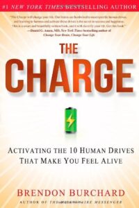 The Charge - Activating the 10 Human Drives That Make You Feel Alive