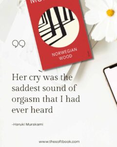 Her cry was the saddest sound of orgasm that I had ever heard