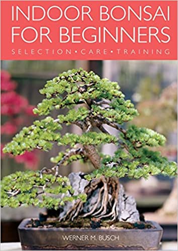 BEGINNER INDOOR BONSAI SELECTION, CARE, AND TRAINING