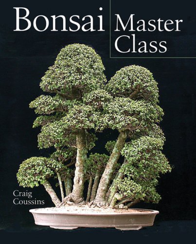 BONSAI MASTER CLASS