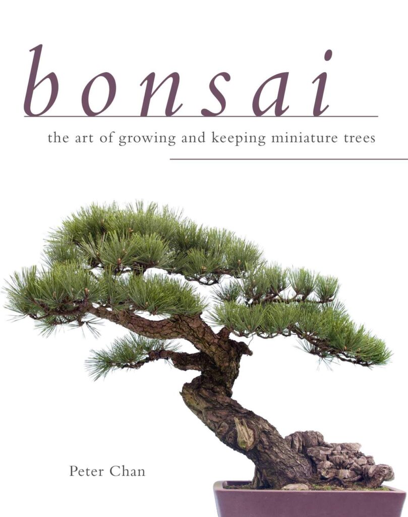 BONSAI - THE ART OF GROWING AND KEEPING MINIATURE TREES